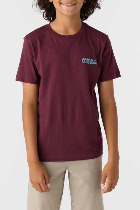 Oneill New Dreams Tee BUR