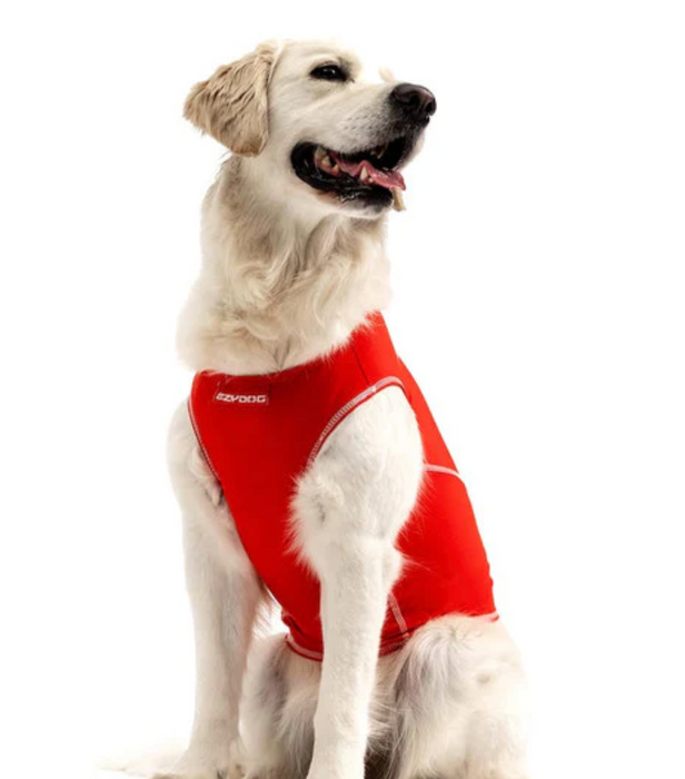 Ezy Dog Rashie Red