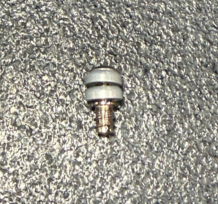 Waterski Insert Repair Kit - Single insert, screw, washers